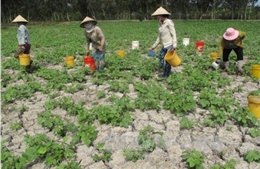 Chuẩn bị triển khai Hiệp định Paris về Khí hậu tại Việt Nam